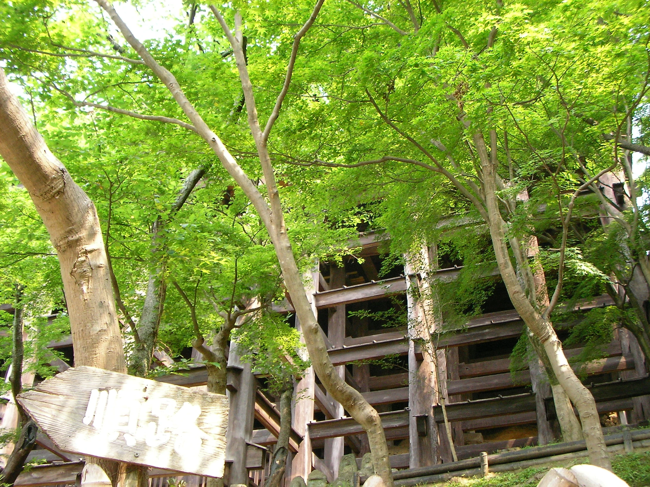 a building surrounded by trees and shrubs