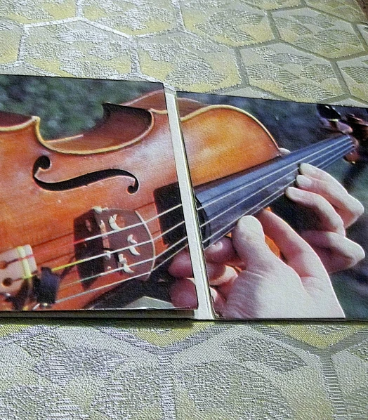 a close up of two different images of the same violin