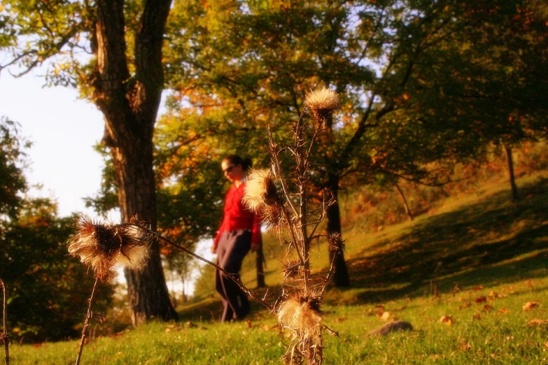 a woman is walking in the forest in autumn