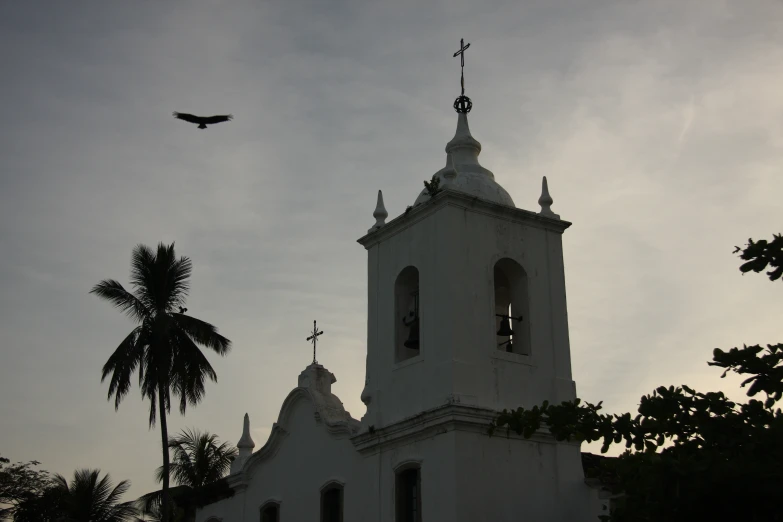 a tall church tower with a bird flying by