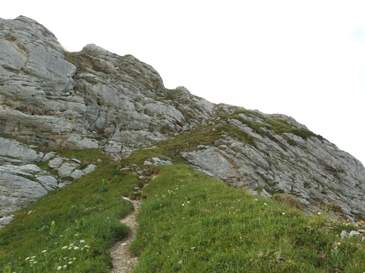 a path going up a rocky mountain near grassy bushes