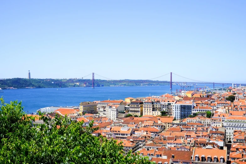 a view of a city with some trees