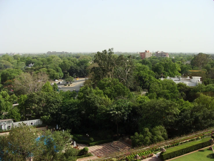 an aerial view shows trees, a pathway, and the ground