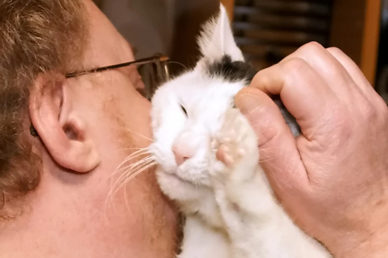 a cat kissing the face of a man