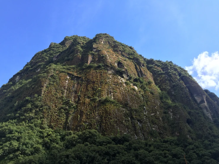 a mountain is surrounded by thick trees and blue sky