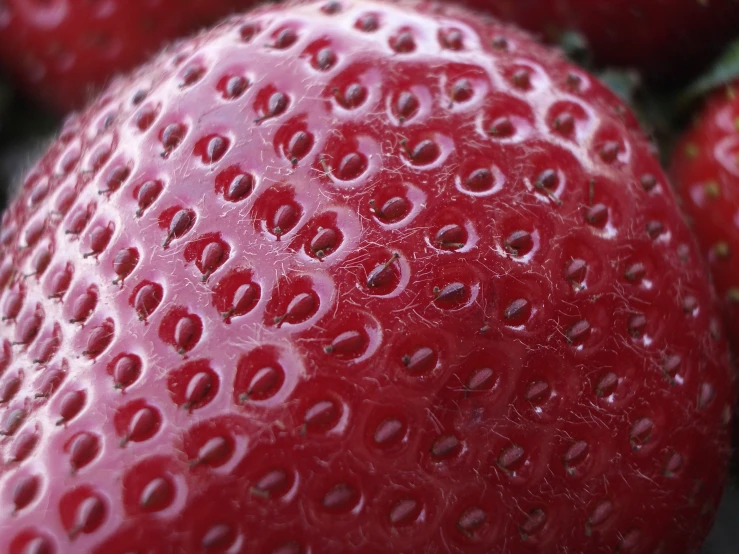 some red strawberries on the counter, with water droplets