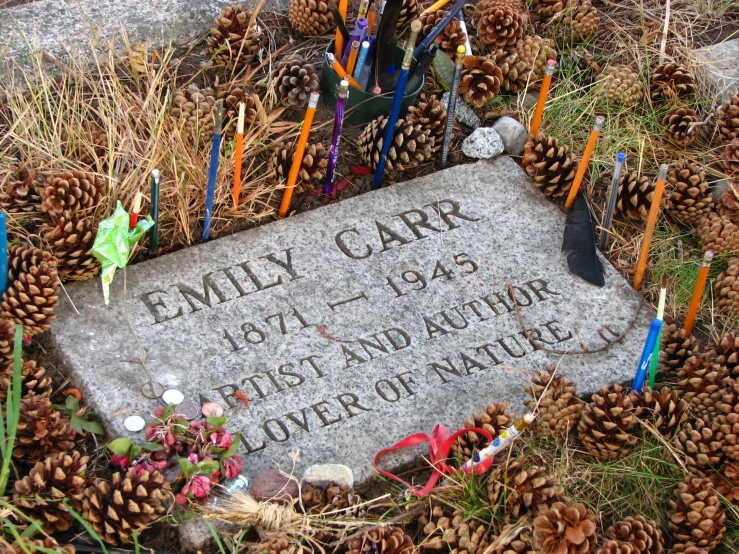 the grave is surrounded by pine cones and evergreen needles