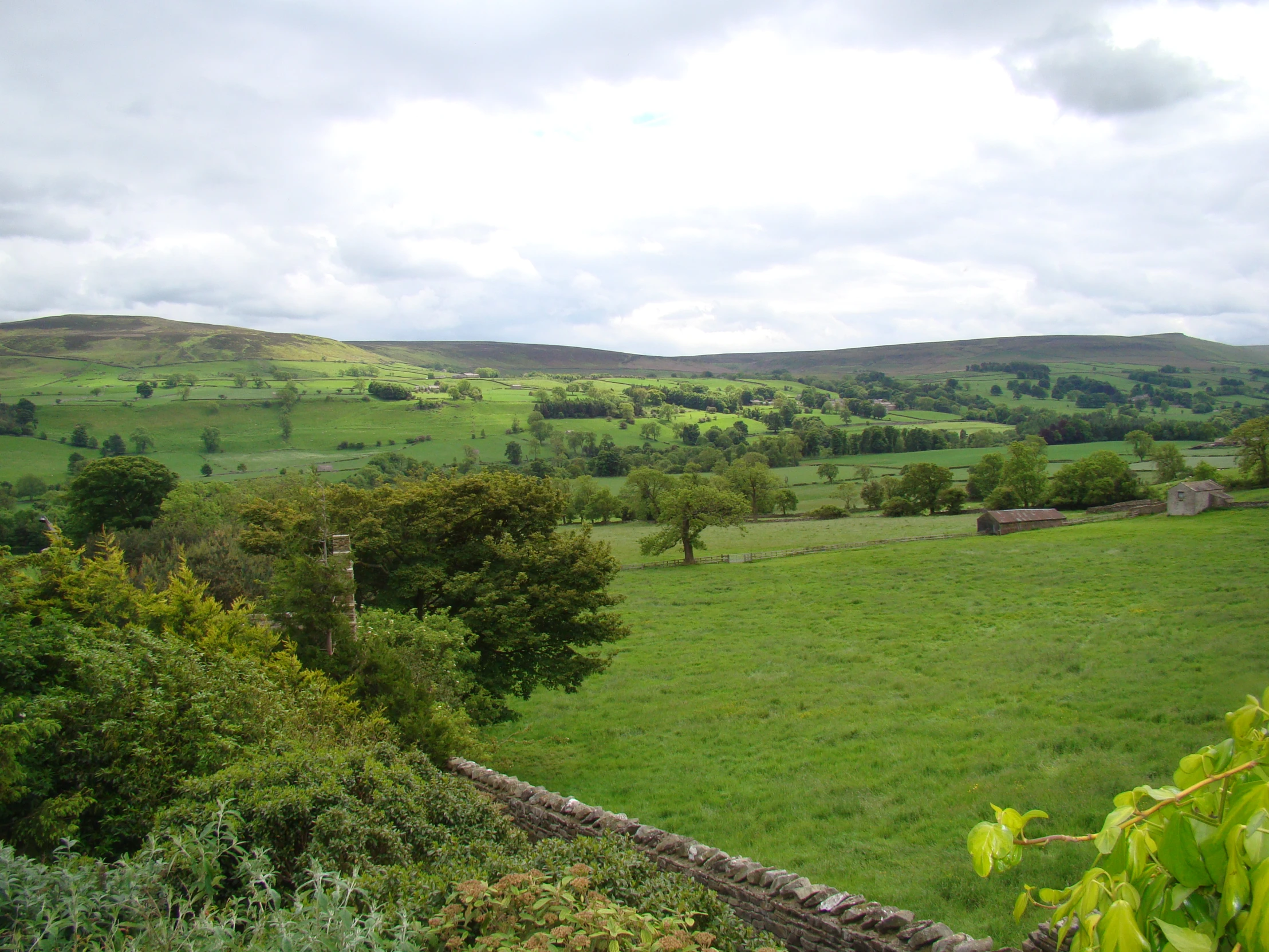 an empty field on a windy day in the countryside