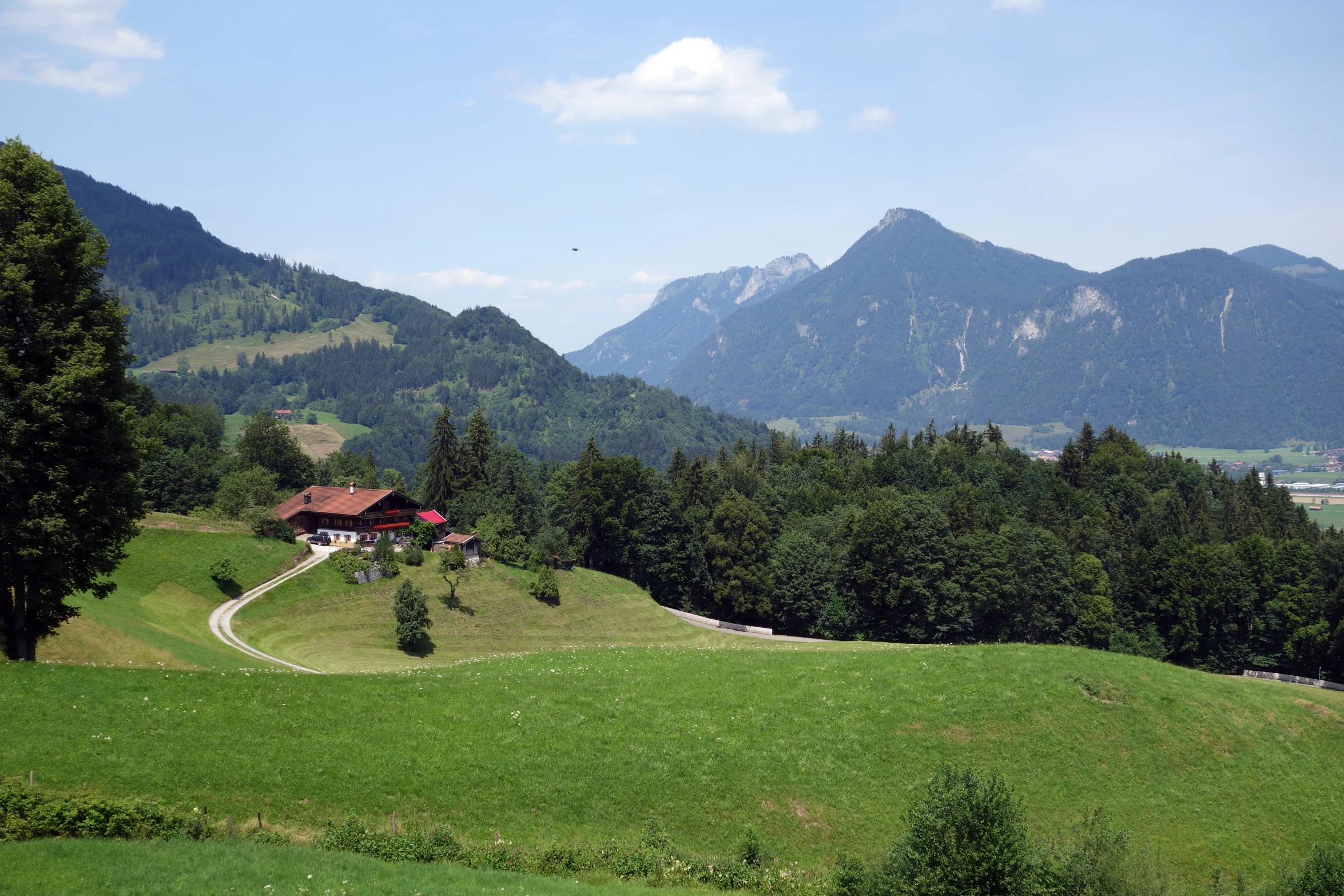 a lush green hillside surrounded by mountains covered in trees