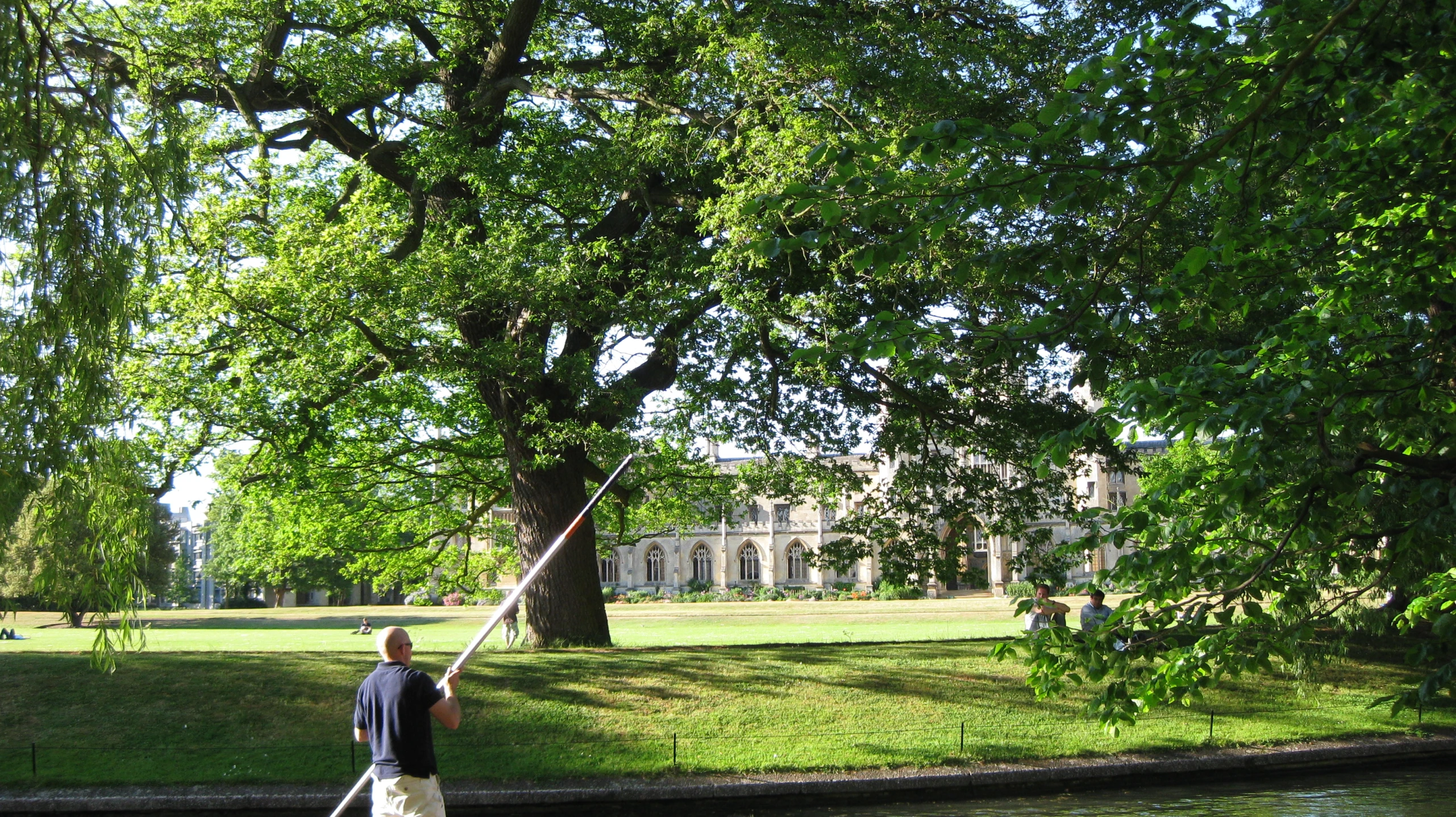 a man riding on the back of a boat under a large green tree