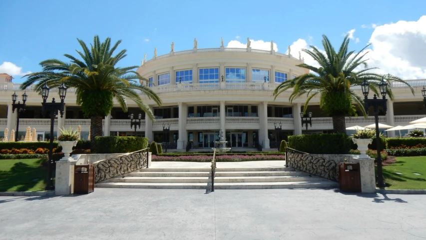 palm trees line a path to the front entrance of a building