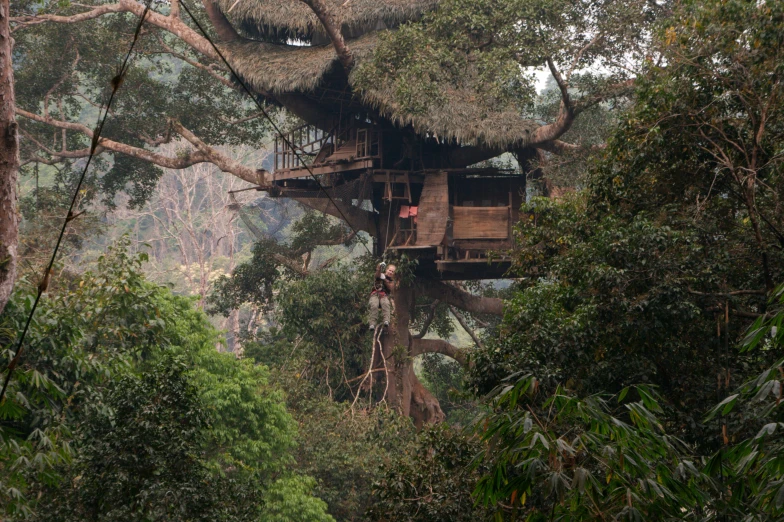 people that are in a tree house hanging from a ceiling