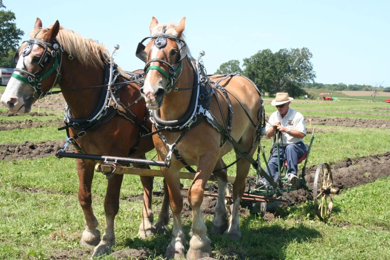 two horses pulling an older plow with one man in the middle