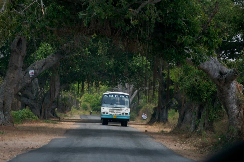 bus driving down the road between trees and dirt