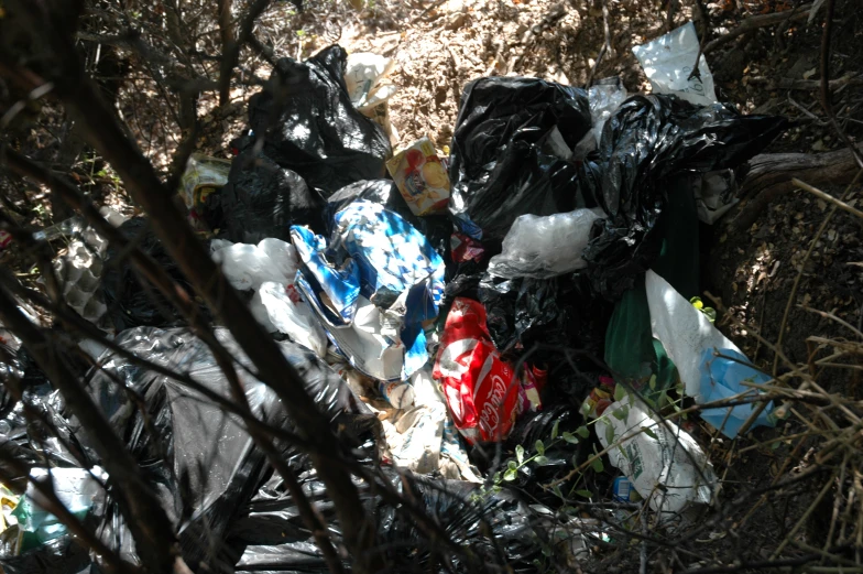 a pile of discarded items sitting in a forest