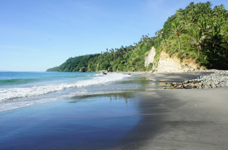 the shore of a beach with trees lining it