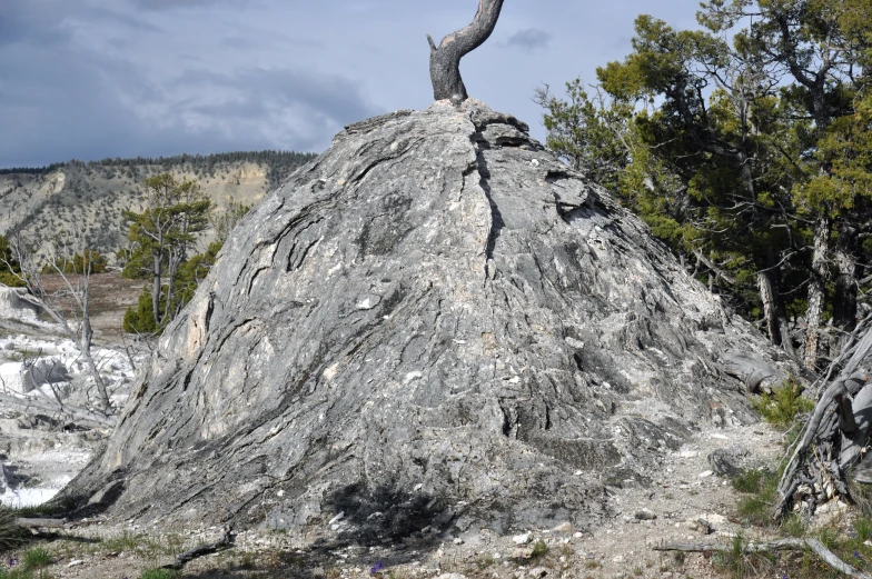 a large rock with an animal sitting on top