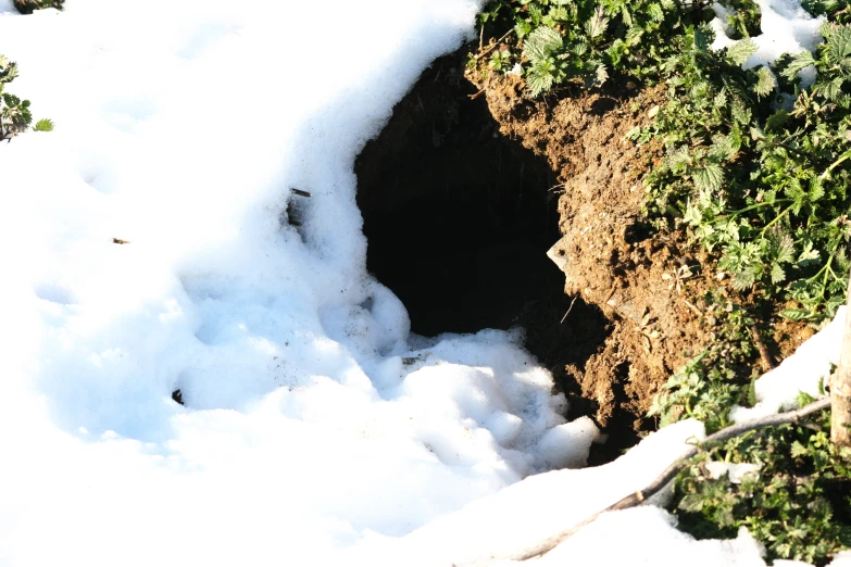 a small hole is partially dug into some snow