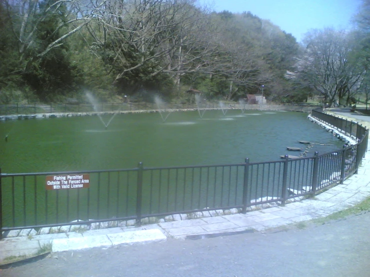 the gate around the pond is open for viewing