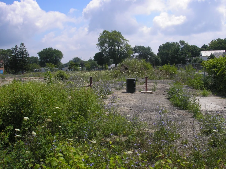 a dirt field with bushes and trees on a partly cloudy day