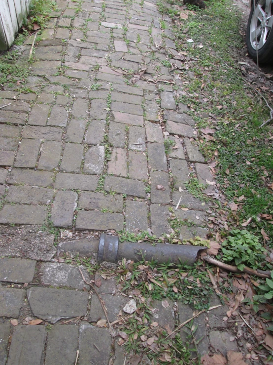 there is a rusted out fire hydrant sitting on the brick road