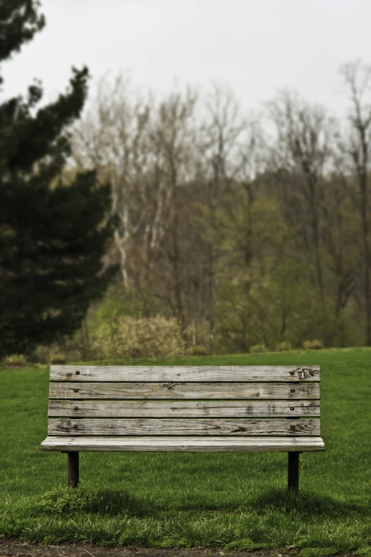 an old weathered wooden bench on green grass