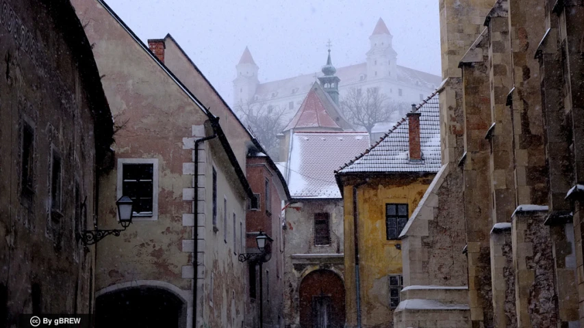 several buildings are covered in snow on a cloudy day