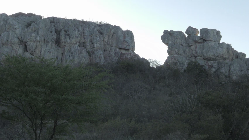 some trees on a hillside with a rocky outcrop