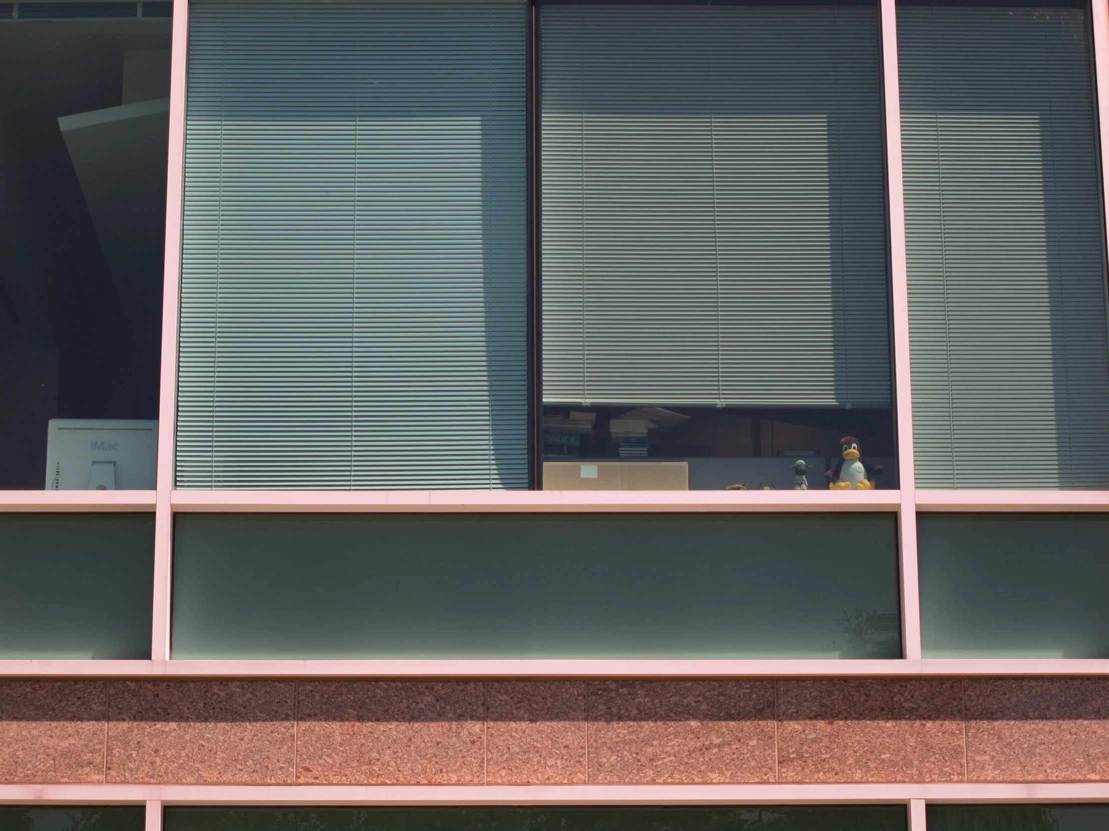 a tall pink window with blinds and an animal figurine