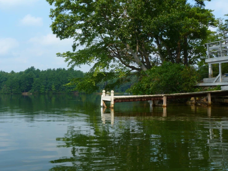 a dock on the water next to a tree