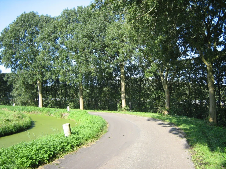 a curved dirt road in the middle of an open field