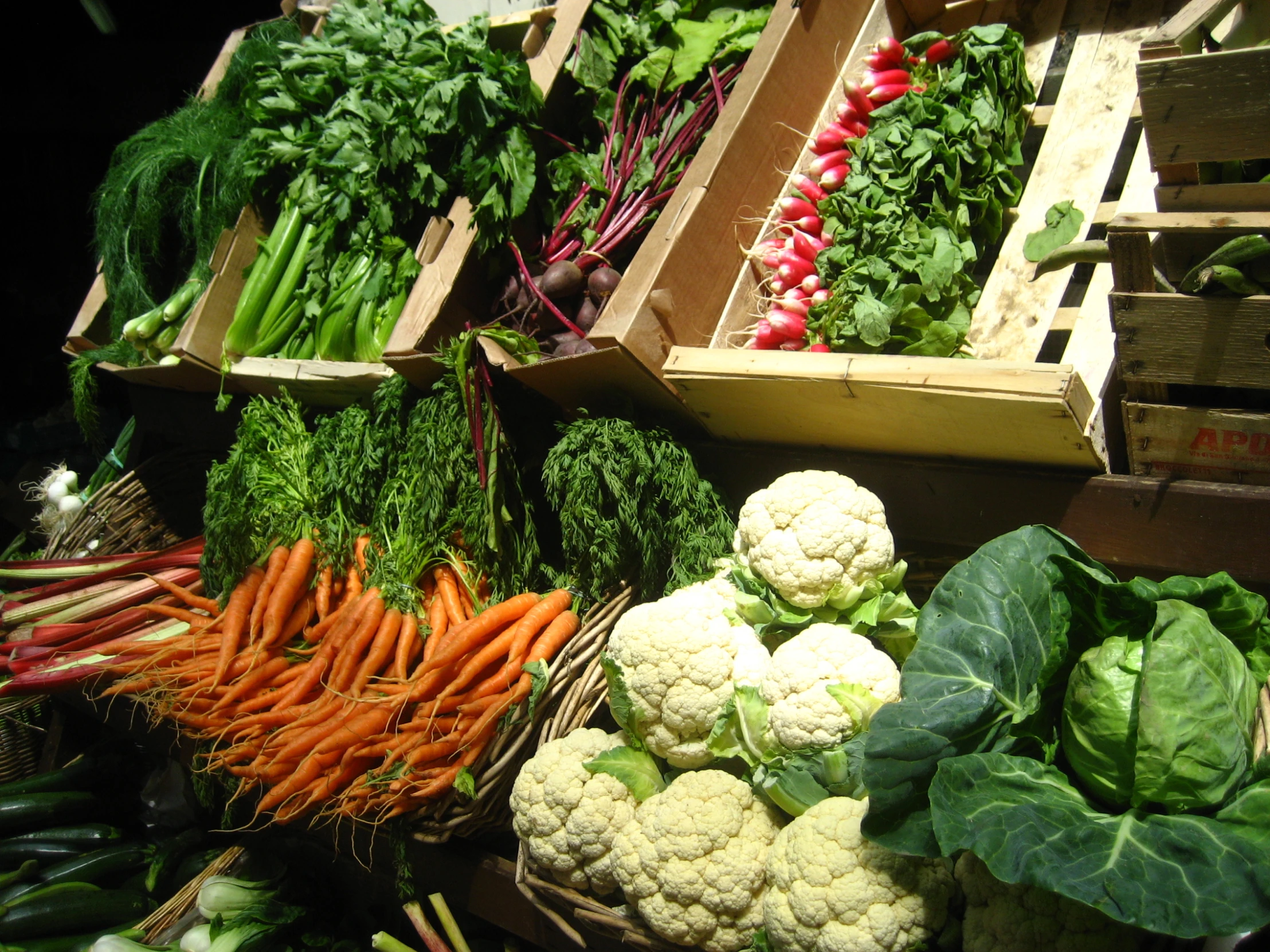 vegetables and greens in bins lined up on a table