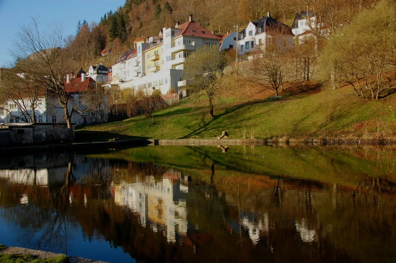 buildings on a hillside by the water and trees