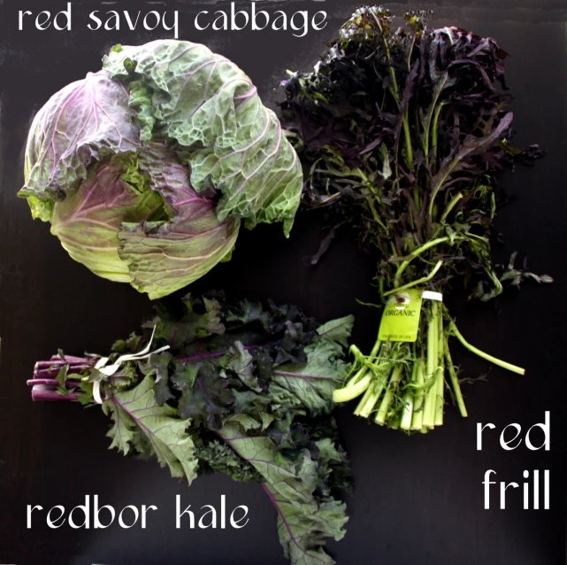 two green lettuce stalks, one red cabbage and one white lettuce leaves on a black background