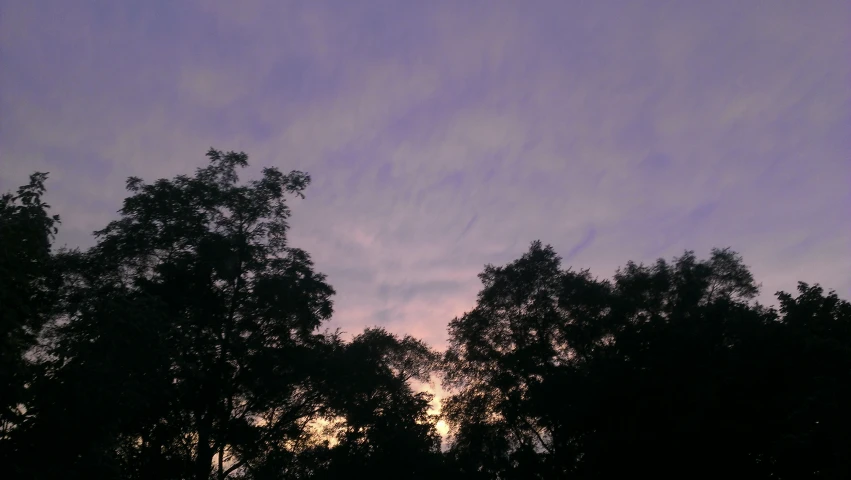 silhouette of trees against purple sky and clouds