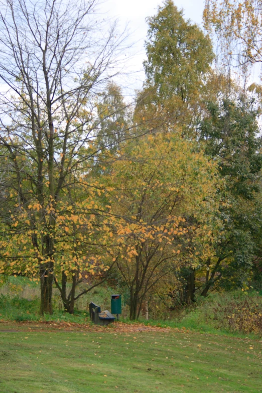 a trash can in the grass and surrounded by trees