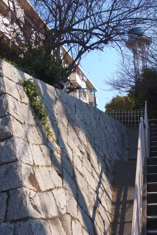 stone staircase leading up to house along side wall