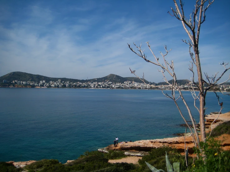 trees in the foreground and the water on the far shore with houses on the background