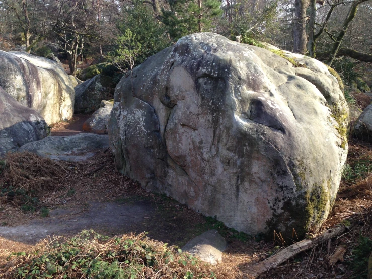 there are large rocks in the woods together