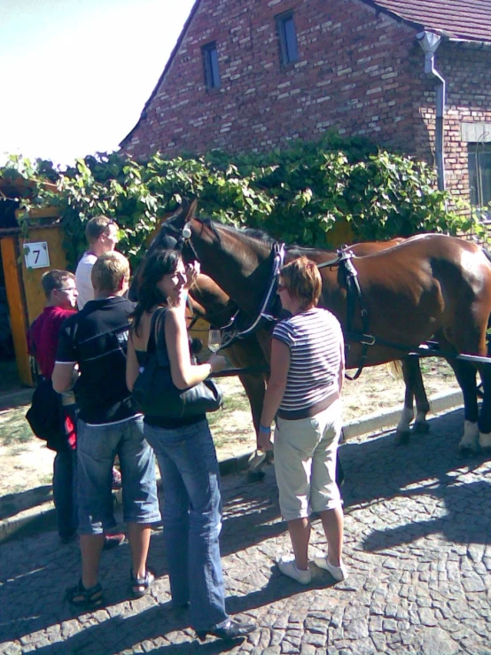 several people standing outside while a horse waits for it to be walked by a person