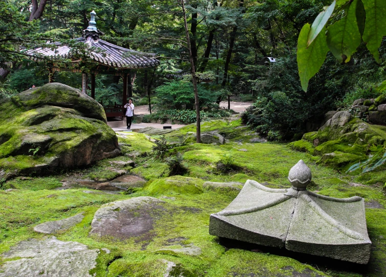 large rocks and trees in the middle of a park