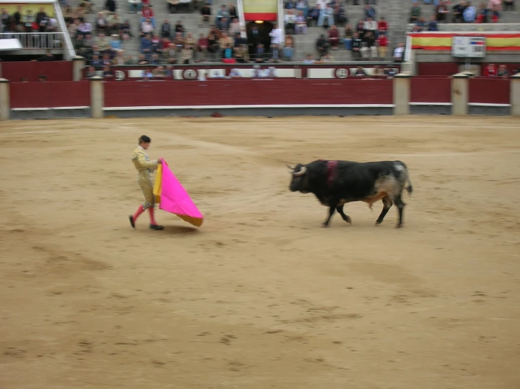 a bull being led by a man in a corral