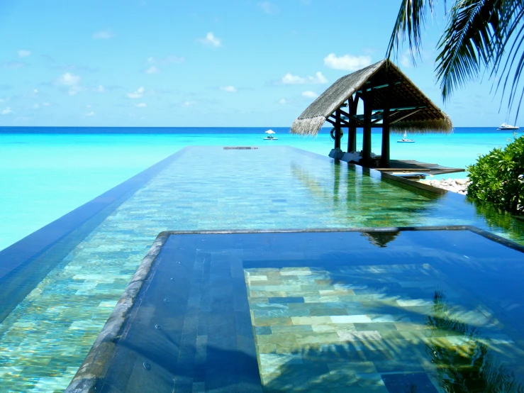 a tropical swimming pool overlooking the sea