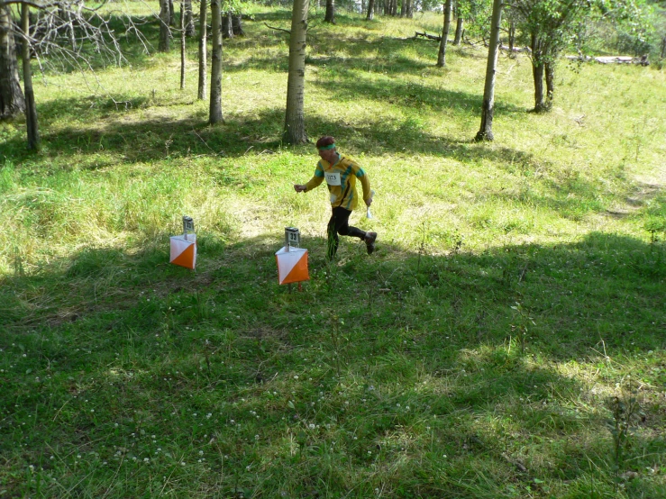 a child walking in the woods through a set of trees