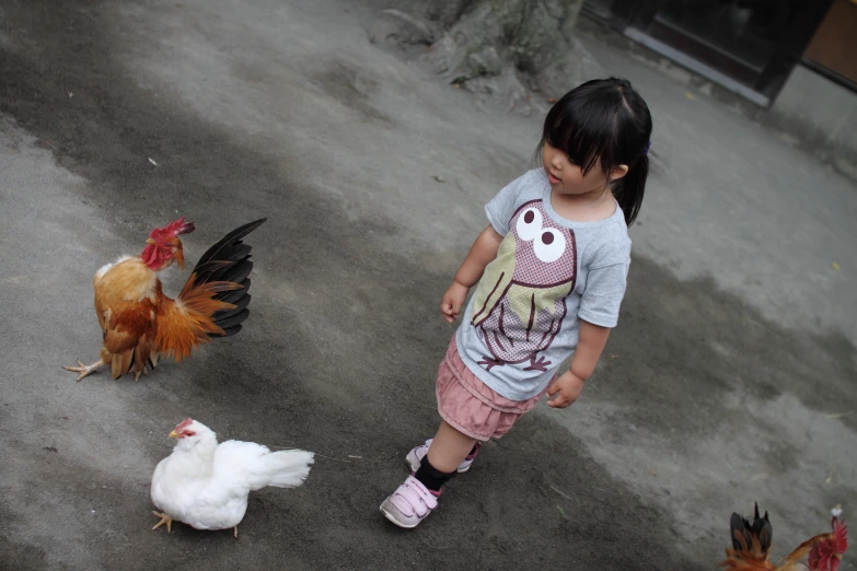 a small girl standing next to chickens and two chickens on the ground