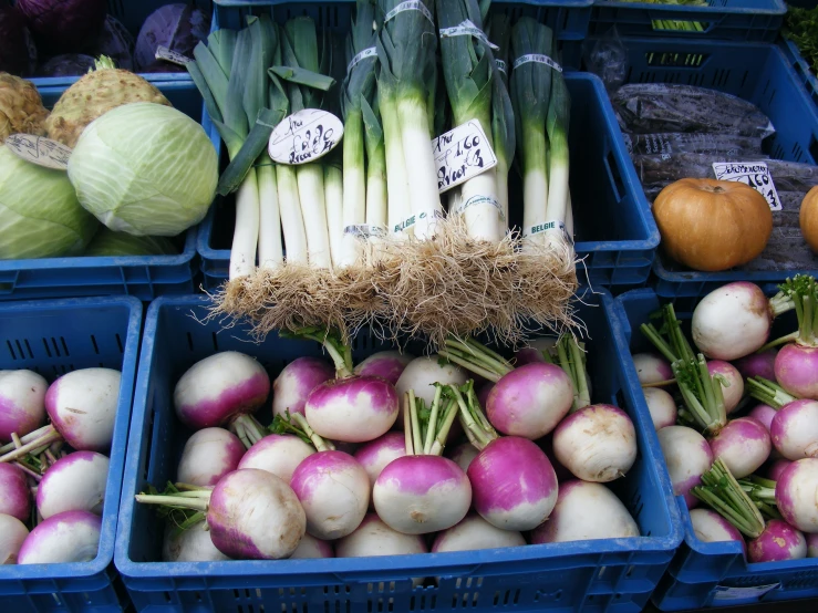 many different kinds of onions are in bins