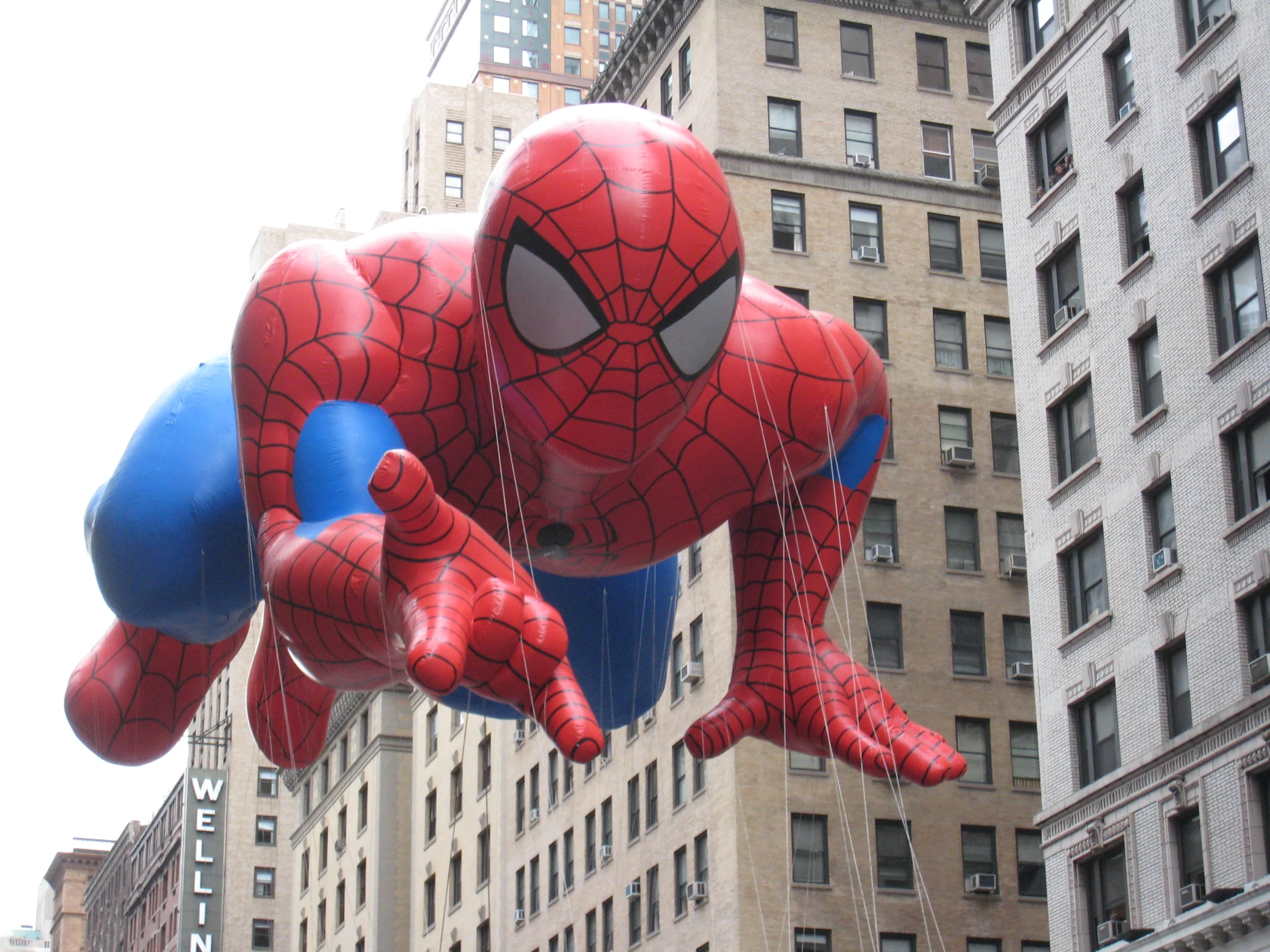 the inflatable balloon is being flown in the air