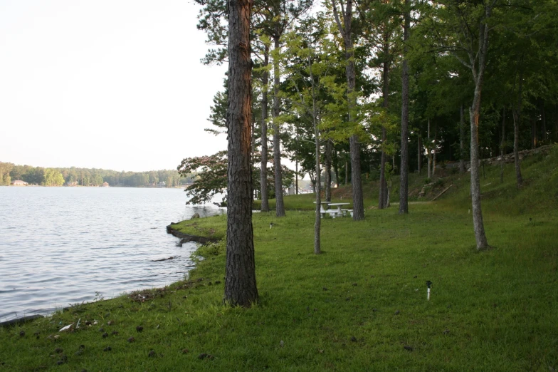 a bench next to a body of water surrounded by trees