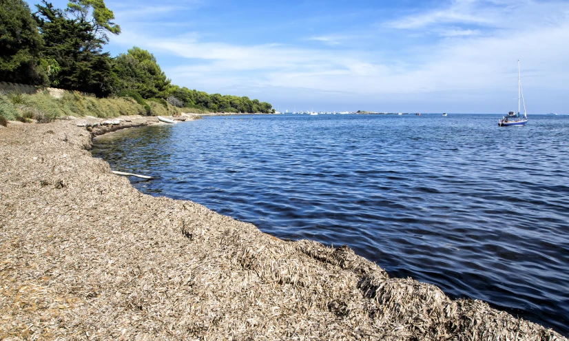 a body of water with boats on it and land