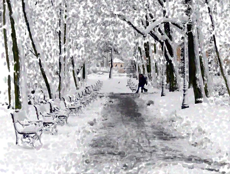 a person walking down a pathway lined with trees